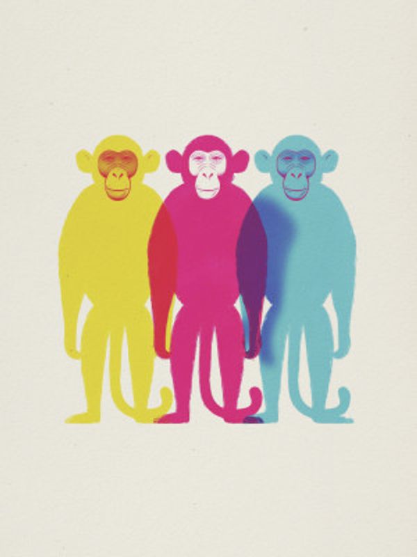 Three Monkeys