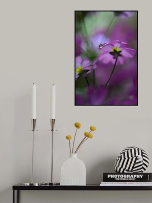 In pink surroundings