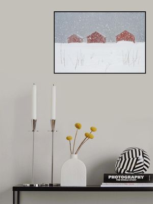 Red boat houses in the snow