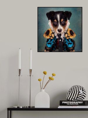 Shelter Pets Project - Loki