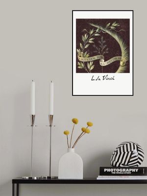 Virtutem Forma Decorat (ca.1474–1478