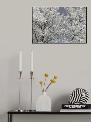 Ethereal White Bloom
