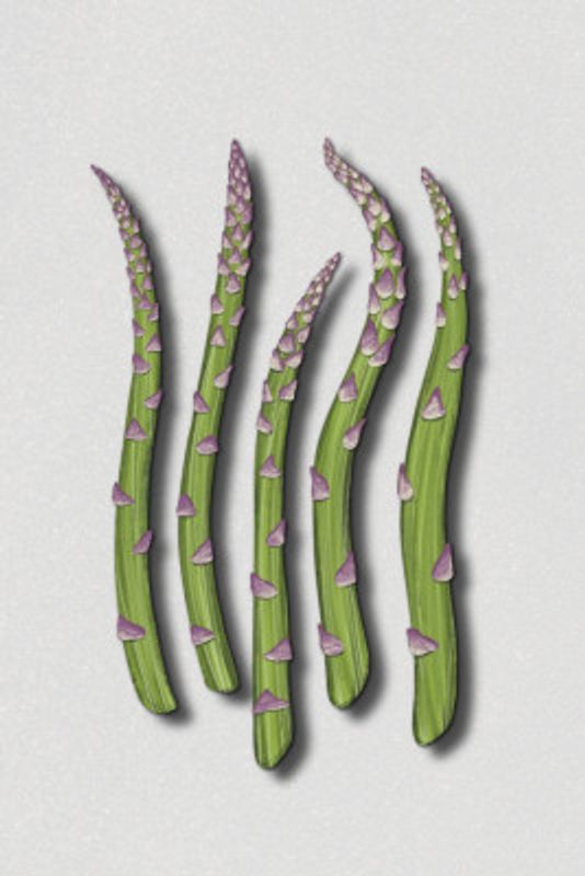 Asparagus