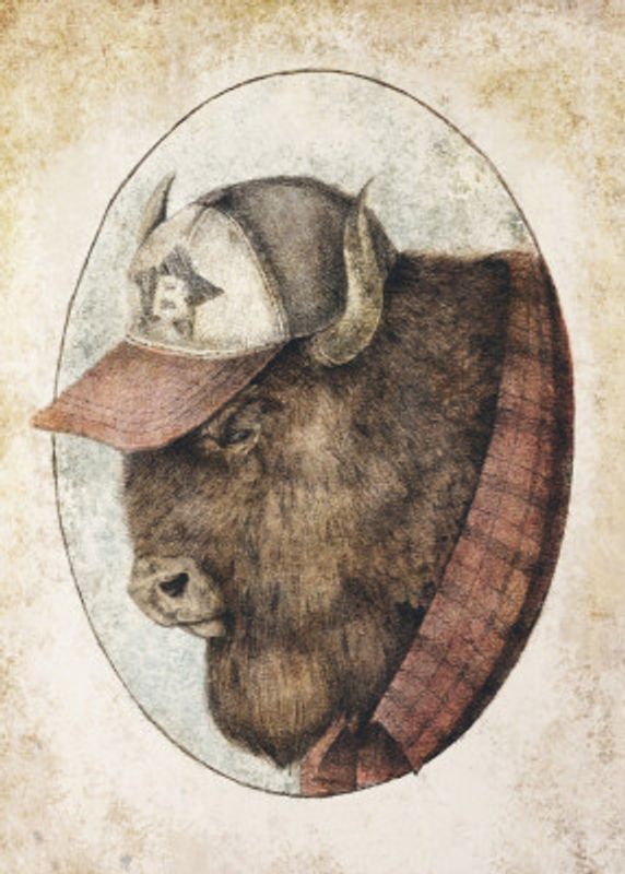 Buffalo In A Baseball Cap