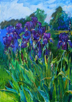 Irises