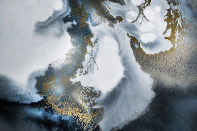 Black White and Gold "Midnight Motion"