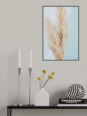 Pampas Grass Blue 02