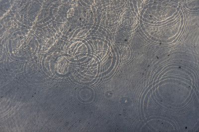 Sunlit Water Patterns