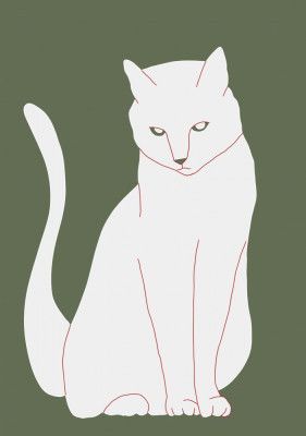 White and green cat