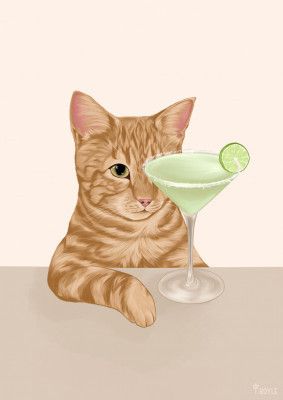 Ginger Cat with Margarita Cocktail