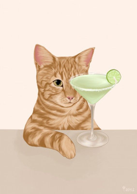 Ginger Cat with Margarita Cocktail