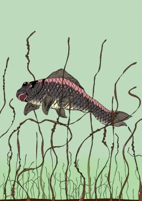 Stylized Fish Swimming in Deep Sea