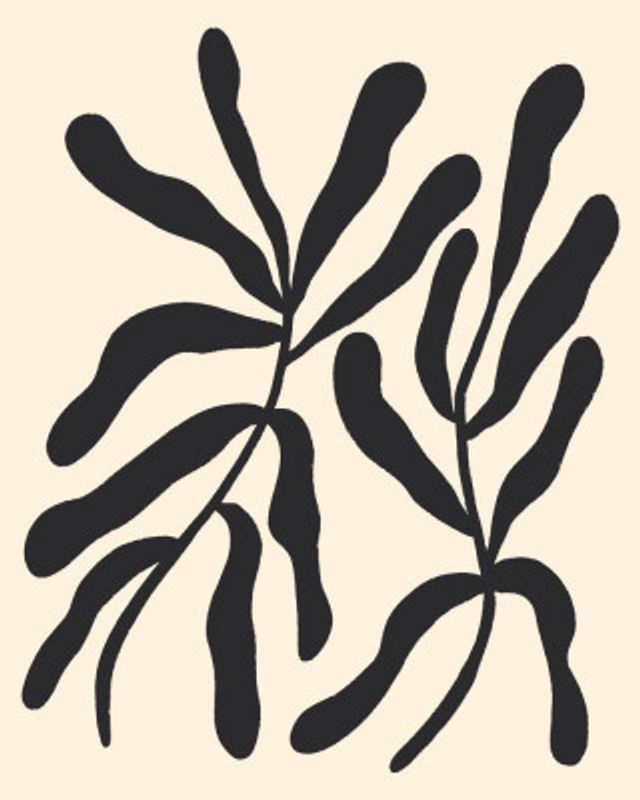 Black Stylized Branches