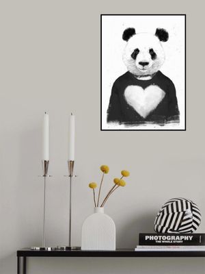 Lovely Panda