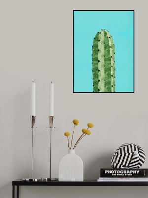 Stylized Cactus