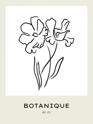 Floral Line Elegance