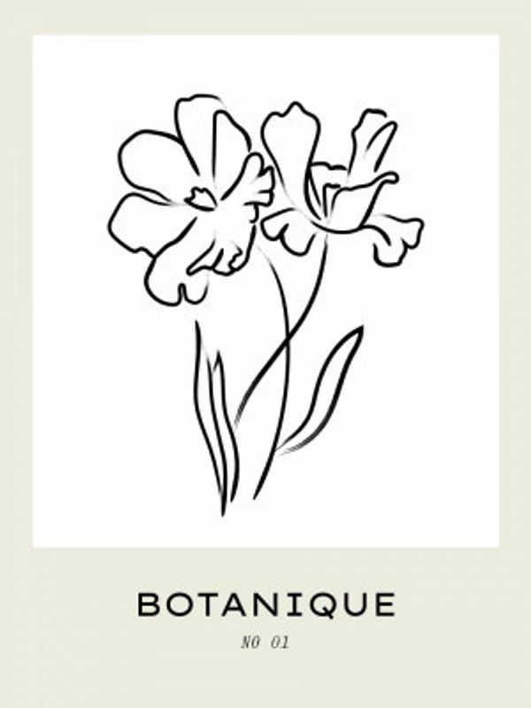 Floral Line Elegance