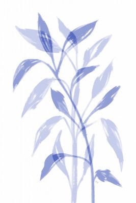 Delicate Blue Leaves