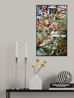 Hummingbirds - Revamped