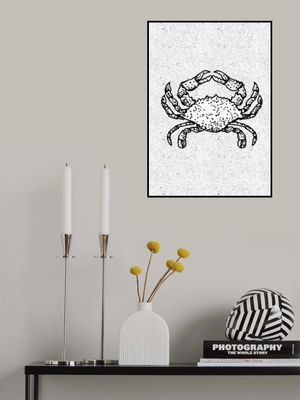 Black And White Crab