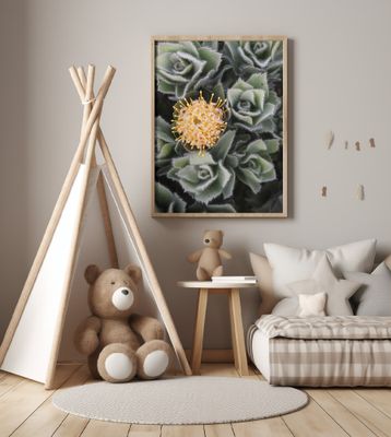 Striking Yellow Protea Flower