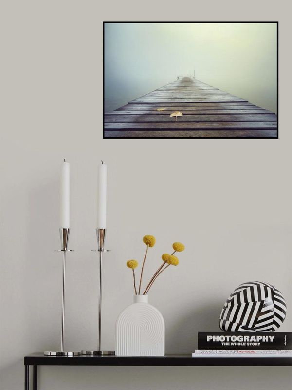 Cold and Misty Morning