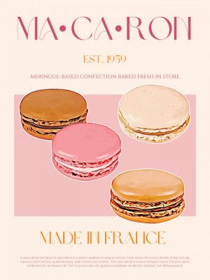 French Macaron Delight
