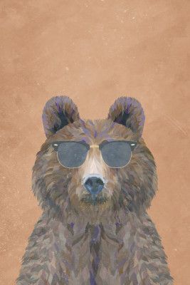 Cool Bear Portrait