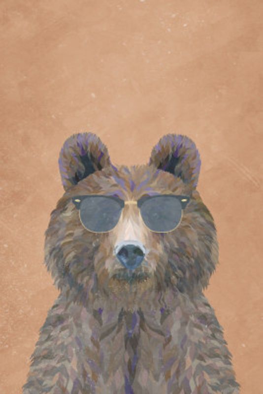 Cool Bear Portrait