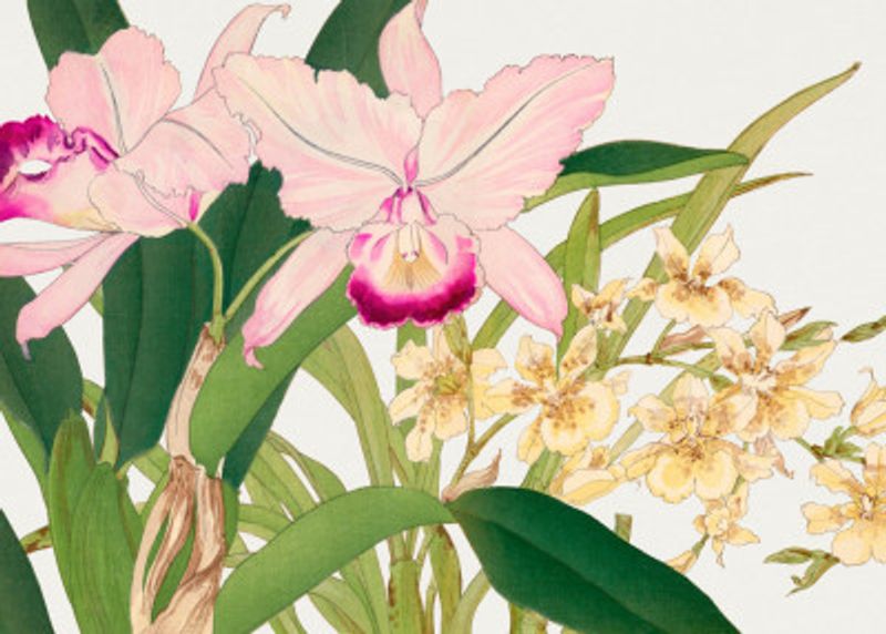 Oncidium Woodblock Painting No.2