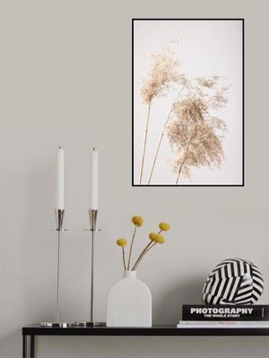 Reed Grass Grey 07