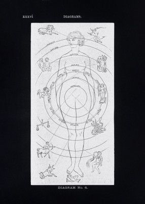 Solar Biology No. 6 Black (Creative ed)