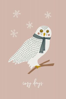 Cozy Owls Powder Pink