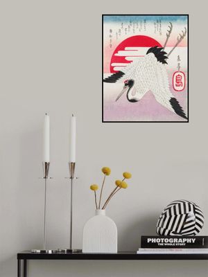 Japanese Flying Crane (1900)