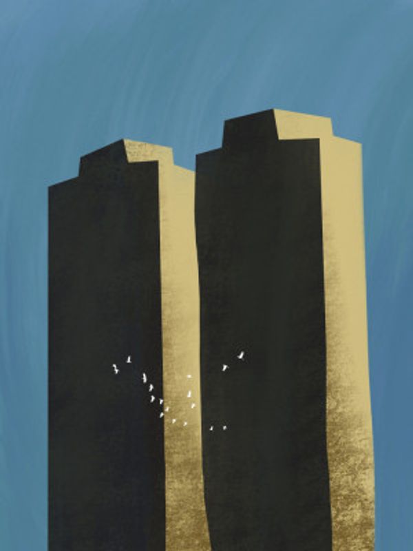 Concrete jungle migrating flock