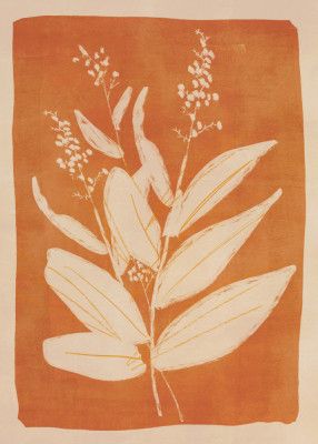 Colorful Minimal Plant