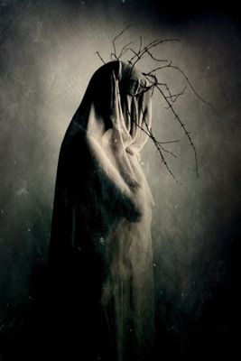 in between the light and shadows