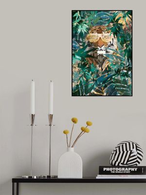 R&amp;B Tiger in the jungle