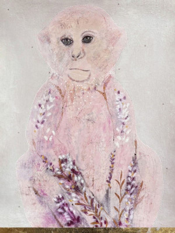 Small Pink Monkey