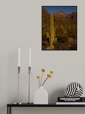 Postcard From Tucson