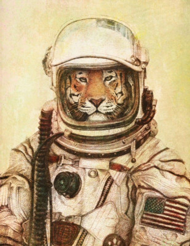 Tiger In A Vintage Astronaut Suit