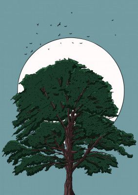 Tree And Moon