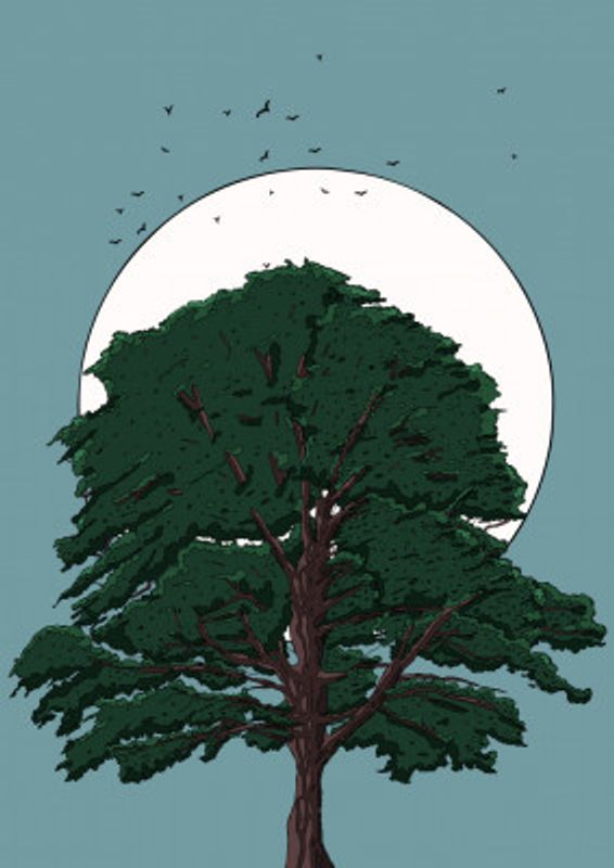 Tree And Moon