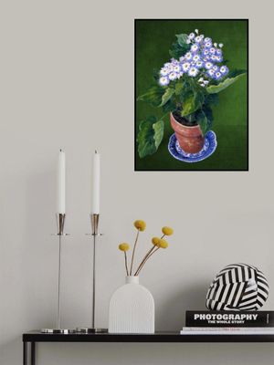 Cineraria, By Josephine