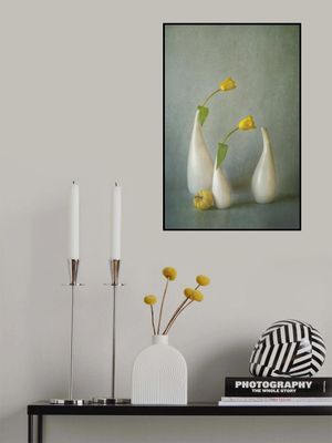 Yellow Tulip and Mini Squash