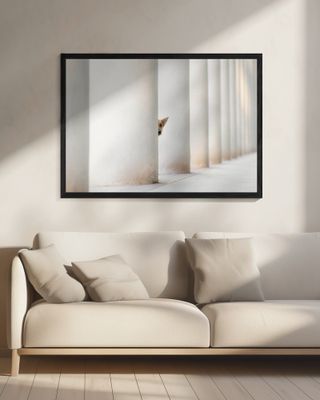 Bella - and the Pillars of the Earth...