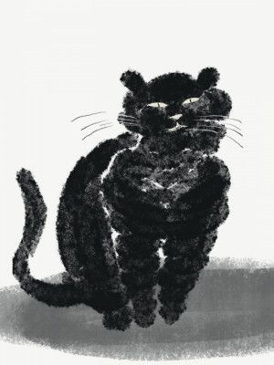 Portrait of a black cat
