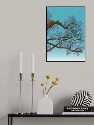 Japan Cherry Blossom