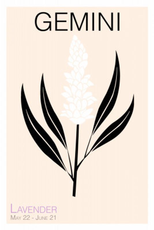 Gemini Black And White Lavender Illustration