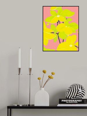 Where Sunshine Blooms Louder Than Words: Mokara Orchid